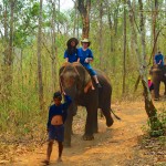 Riding our Elephant