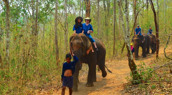 Elephant Riding in Chiang Mai