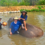 Cleaning our Elephant