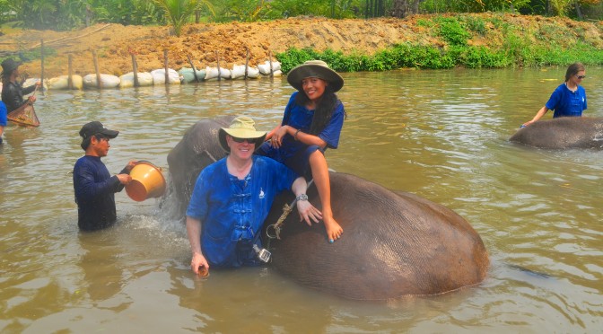 Cleaning our Elephant