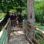 Bamboo Bridge