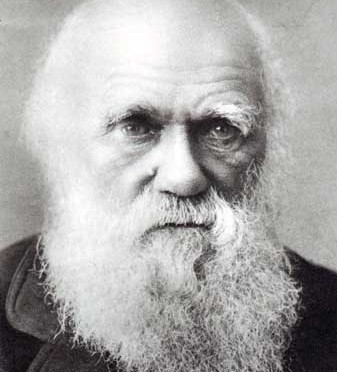 Darwin