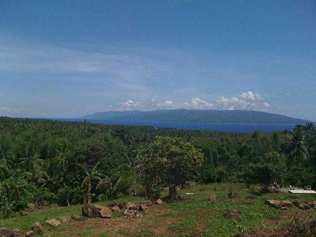 25_800_sqm_lot_in_sibulan_dumaguete_negros_oriental_97963334416981470